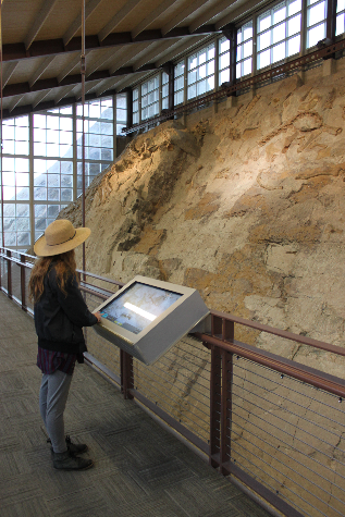 Dinosaur National Park 